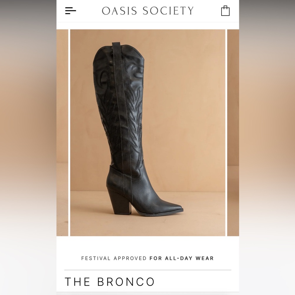 Black Heeled Boots with Pointed Toe and Block Heel